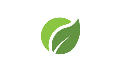 green leaf icon