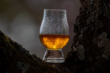 Single malt Scotch whiskey in the Glencairn glass in selective focus.