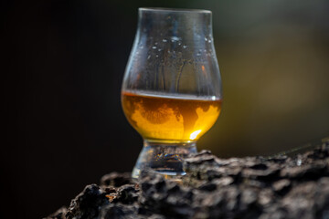 Single malt Scotch whiskey in the Glencairn glass in selective focus.