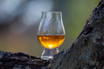Single malt Scotch whiskey in the Glencairn glass in selective focus.
