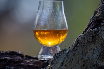 Single malt Scotch whiskey in the Glencairn glass in selective focus.