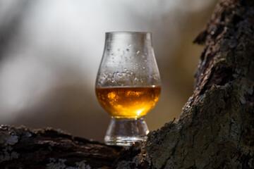 Single malt Scotch whiskey in the Glencairn glass in selective focus.