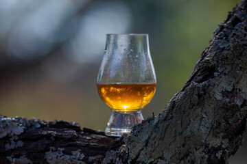 Single malt Scotch whiskey in the Glencairn glass in selective focus.