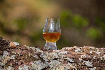Single malt Scotch whiskey in the Glencairn glass in selective focus.