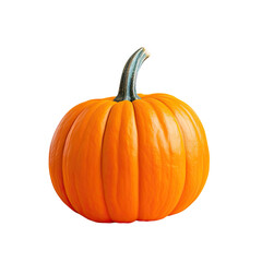 Obraz premium Pumpkin with selective focus on transparent background