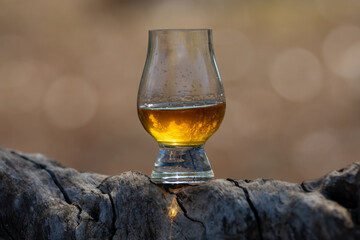 Single malt Scotch whiskey in the Glencairn glass in selective focus.