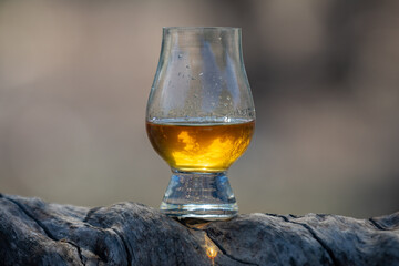 Single malt Scotch whiskey in the Glencairn glass in selective focus.