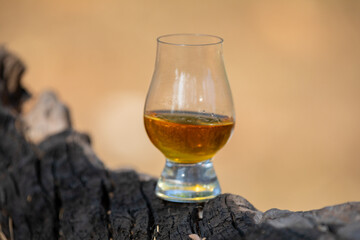 Single malt Scotch whiskey in the Glencairn glass in selective focus.