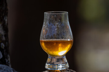 Single malt Scotch whiskey in the Glencairn glass in selective focus.