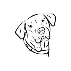 Minimalist line art of labrador retriever, pets illustration