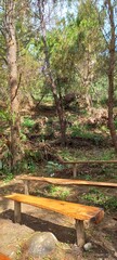 bench in the forest