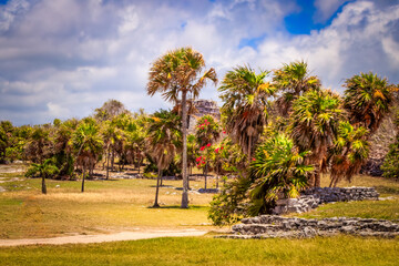 Fototapeta premium Beautiful and historic view of Cozumel Maya