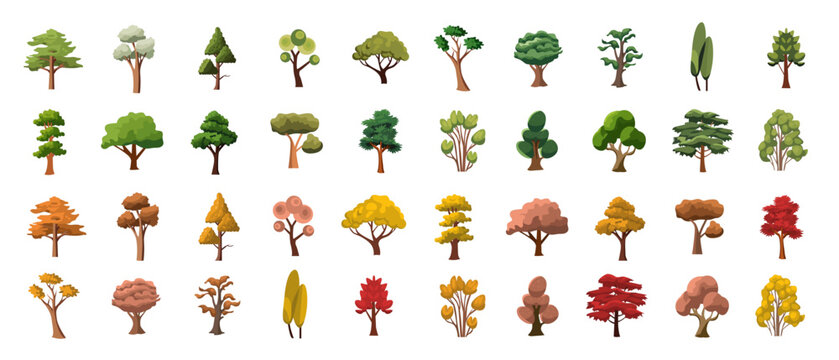 Set of trees vector image, cartoon tree collection
