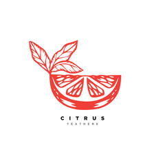 Vintage hand drawn orange citrus logo design for your brand or business