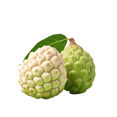 Fototapeta premium Custard apple transparent background
