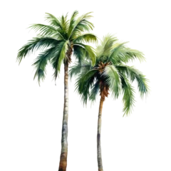 Fototapeten pair of palm trees isolated on a white background © Olivia