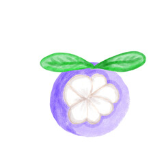 Mangosteen and purple mangosteen