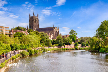 Worcester Cathedral and the River Severn on a bright sunny summer day. Swans on the river, people strolling on riverside path, leafy green trees, and cathedral towering over all.  - obrazy, fototapety, plakaty