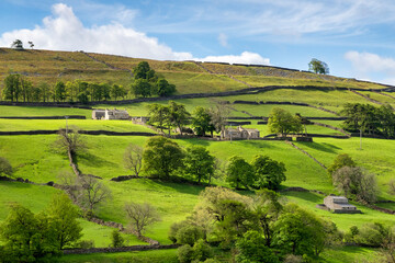 Dry stone walls and stone cottages on a bright spring day with beautiful greens, Swaledale, North...