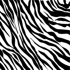 Fototapeta na wymiar Zebra seamless pattern