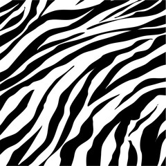 Zebra seamless pattern