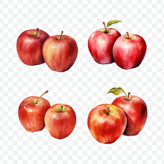 Apple fruit in watercolor drawing style