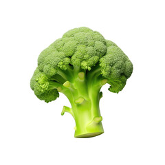 Healthy food fresh broccoli on transparent background