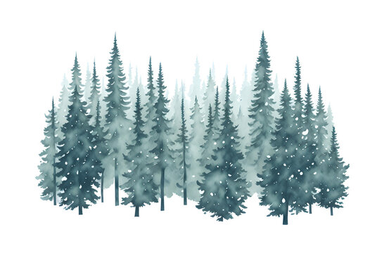 watercolor coniferous forest winter nature holiday background © Nisit