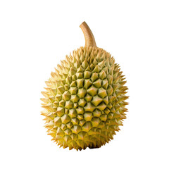 Durian the king of fruits on transparent background with clipping path