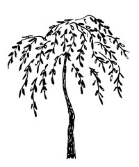 Deciduous tree weeping willow. Bent branches in the wind. Simple black outline vector drawing. Nature and vegetation. Sketch in ink. © MaxNadya