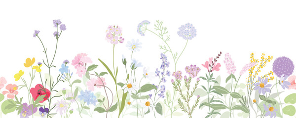 Seamless background Hand drawn wild floral arrangements with small flower. Botanical illustration minimal style.