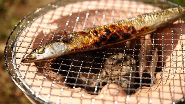 秋刀魚塩焼き」の写真素材 | 2,274件の無料イラスト画像 | Adobe Stock