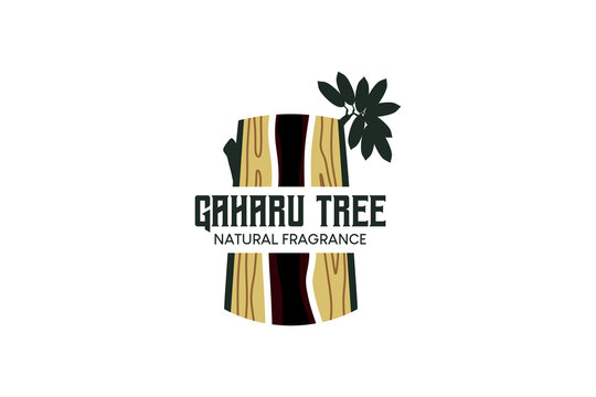Agarwood tree logo design template, natural fragrant tree wood vector illustration