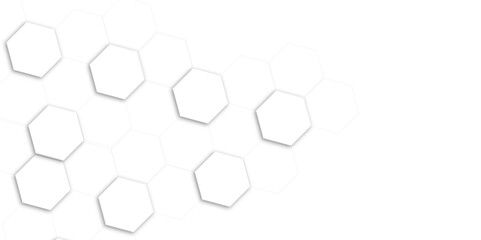 Obraz na płótnie Canvas Abstract white and gray hexagon technology lines background. Abstract white and grey color hexagonal geometric background with copy space. Abstract white lines background.
