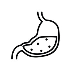 Anatomy stomach gastroenterology vector icon