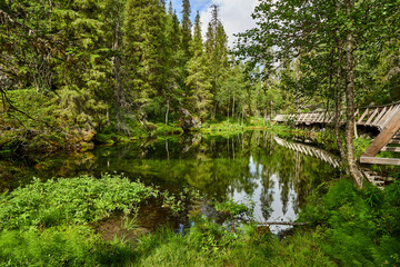 Fototapeta na wymiar Small lake in mountains in finnish Lapland