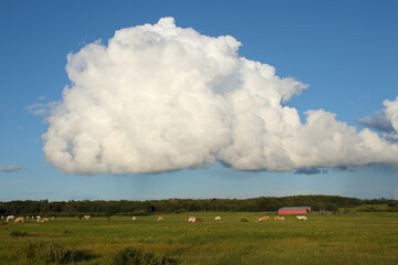 Surreal image of failed storm cell growth at sunset.