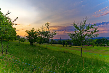 Scenic view of orchard with fruit trees with colorful cloudy spring evening sky. Photo taken June 3rd 2023, Zurich, Switzerland.