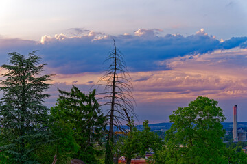 Obraz premium Scenic view trees with colorful cloudy spring evening sky. Photo taken June 3rd 2023, Zurich, Switzerland.