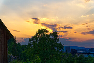 Scenic view of orchard with fruit trees with colorful cloudy spring evening sky. Photo taken June 3rd 2023, Zurich, Switzerland.