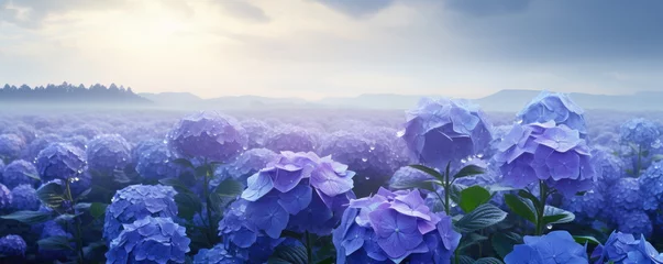 Foto op Aluminium Hydrangea flowers. Light blue and light purple Hydrangea flowers in full bloom. Hand edited generative AI.  © killykoon