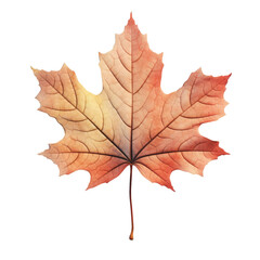 Obraz premium Isolated black autumn leaf