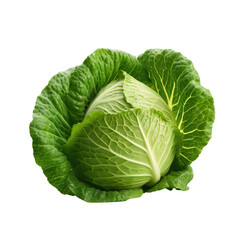 Obraz premium Green cabbage on transparent background