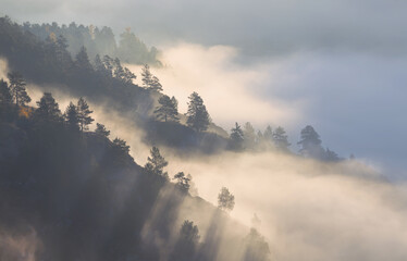 Morning in the mountains, fog and forest on the slope, rays of light