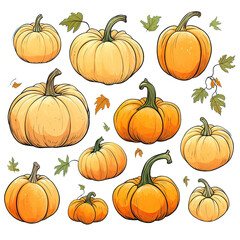 decorative pumpkins