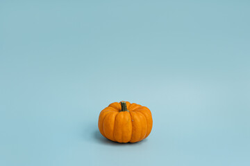 Small decorative pumpkin on light blue background. Autumn, fall, thanksgiving or halloween concept. Copy space