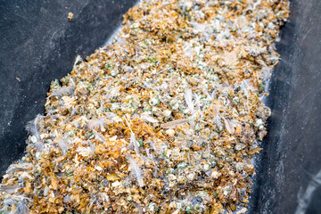 Close-up of a plastic container with bird droppings mixed with sawdust. Reuse of quail manure for composting and fertilizing garden soil