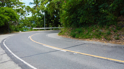 Fototapeta premium The paved road with markings turns sharply to the right. Dense bushes and trees on the sides of the road.