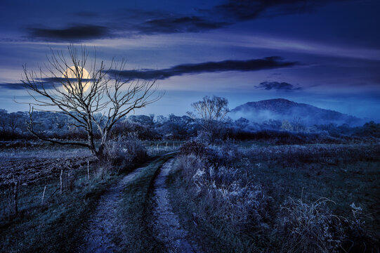 rural landscape with road to mountain through rural field behind the wooden fence and few trees in late autumn foggy and frosty weather at night. spooky countryside scenery in full moon light