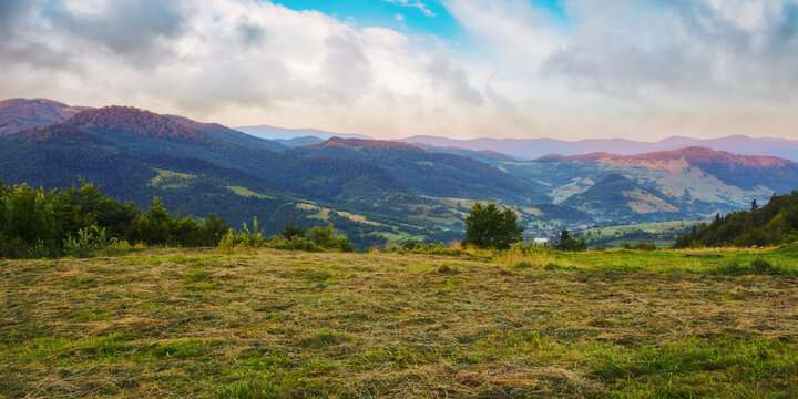 sunrise over uzhanian pass. carpathian rural landscape in summer. hay drying on the meadow. village down in the valley